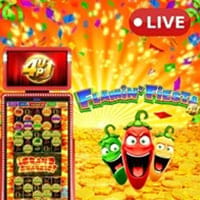 4Up - Flamin Fiesta in All