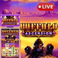 Buffalo Ascension in All
