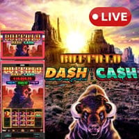 Buffalo Dash For Cash in All