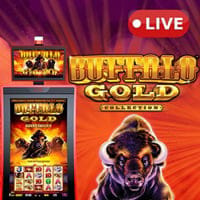 Buffalo Gold Collection in All