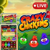 Crazy Chickens
