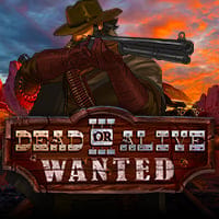 Dead or Alive 3: Wanted in Home_NewGames