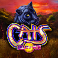 Cats Split 'N' Win in Home_NewGames