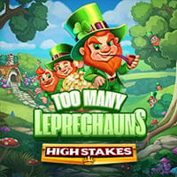Too Many Leprechauns High Stakes in Home_NewGames