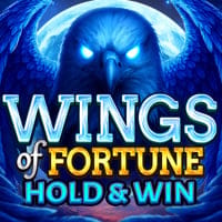 Wings of Fortune: Hold and Win in Home_NewGames