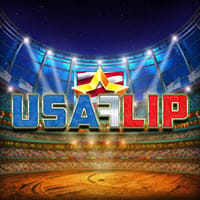 USA Flip in MDW