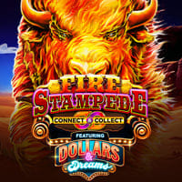 Fire Stampede Dollars and Dreams in Home_NewGames